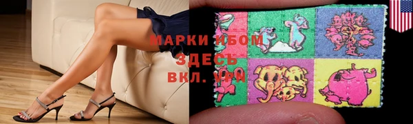 индика Заводоуковск