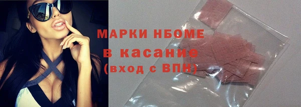 индика Заводоуковск