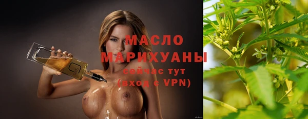 индика Заводоуковск