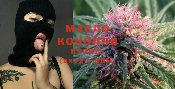 индика Заводоуковск