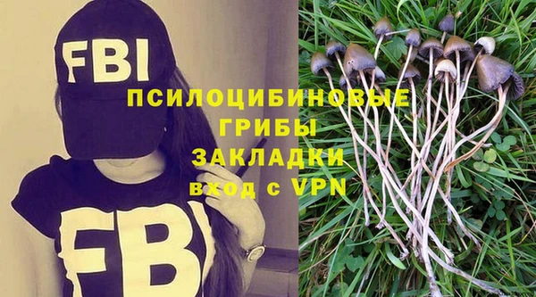 индика Заводоуковск