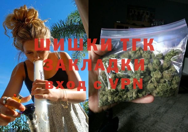 индика Заводоуковск