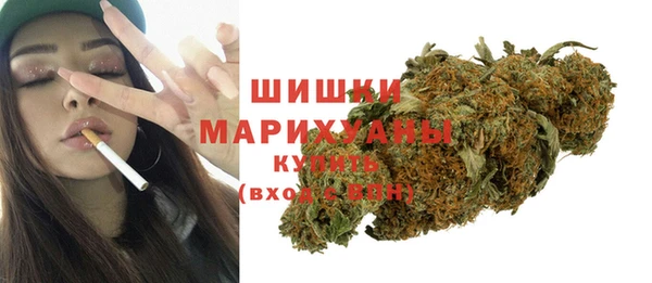 индика Заводоуковск