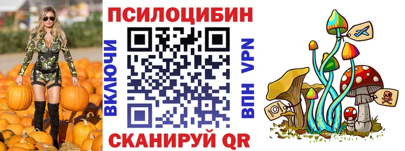 Купить  Дыгулыбгей  Псилоцибиновые грибы мицелий 